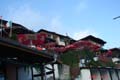 DSC05781
