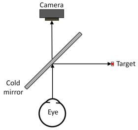 figure1.tif